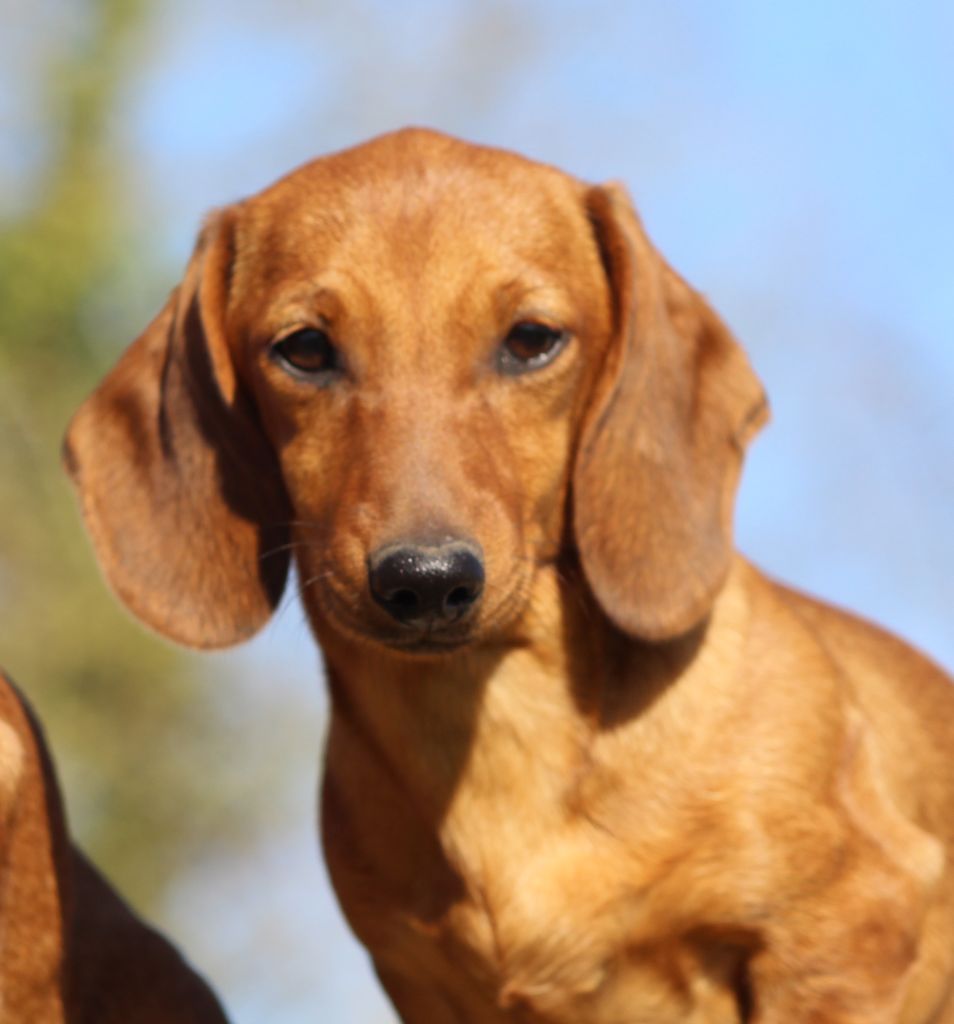 Publication : de l'air salin