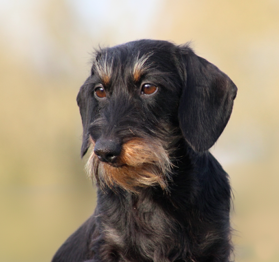 Publication : de l'air salin Auteur : C Fréville