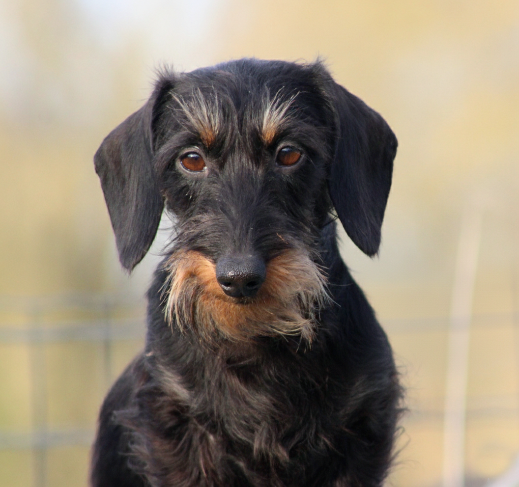 Publication : de l'air salin Auteur : C Fréville