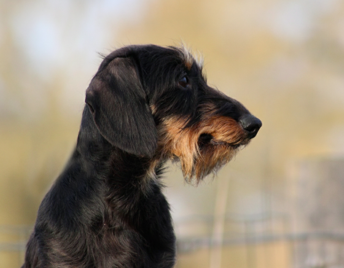 Publication : de l'air salin Auteur : C Fréville