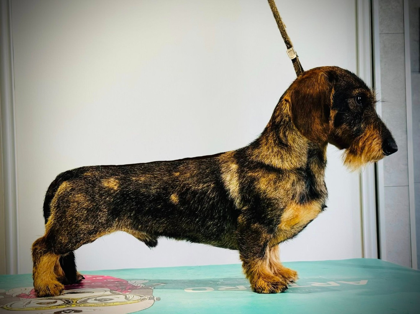 almarxils El principe