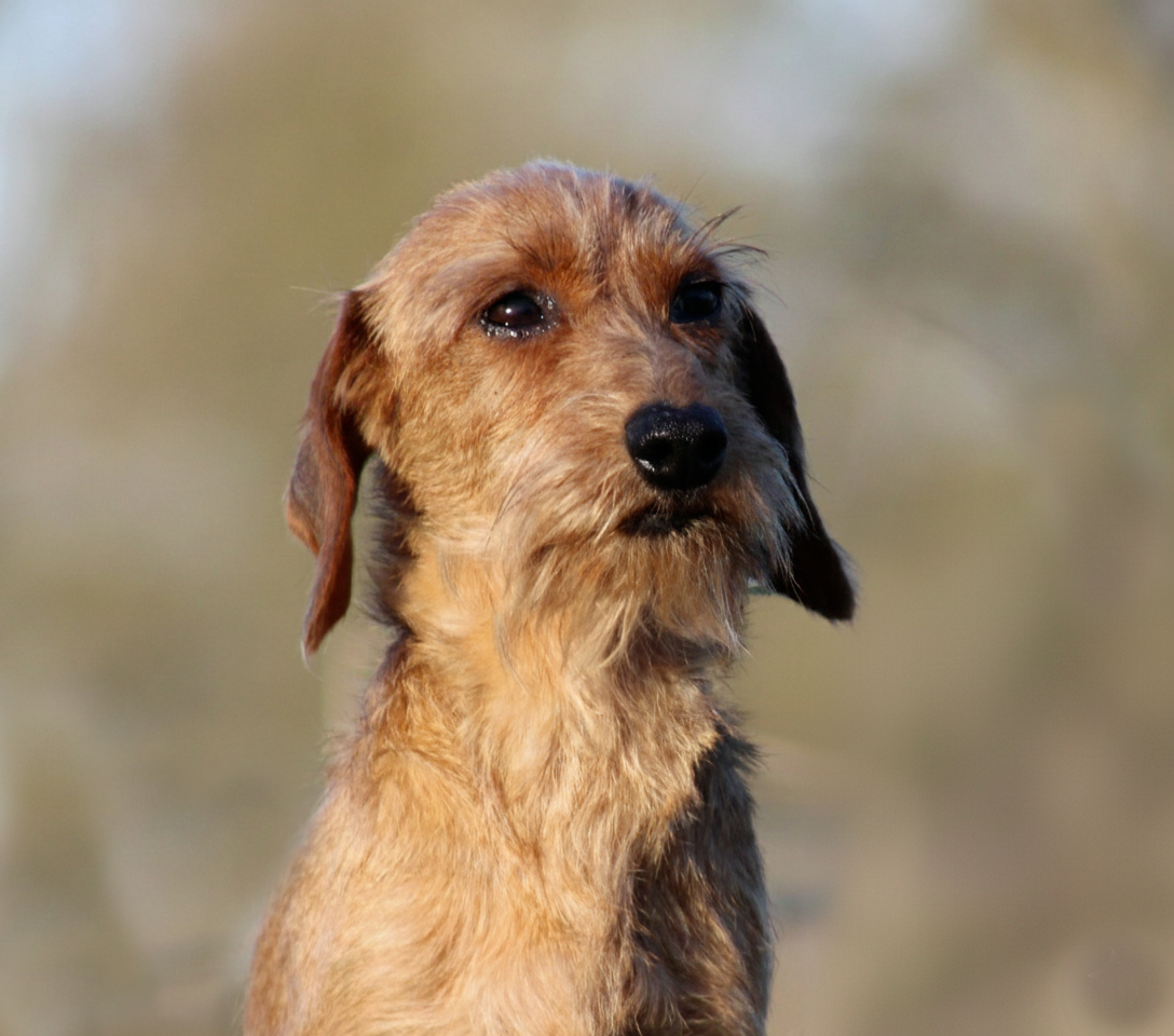 almarxils Una Locura