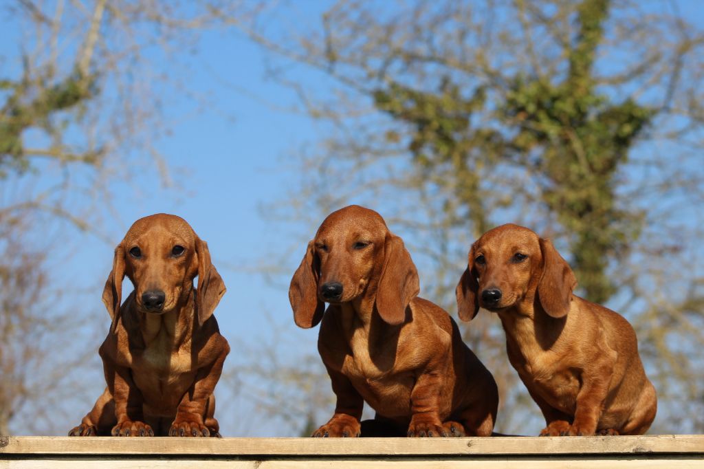 Publication : de l'air salin