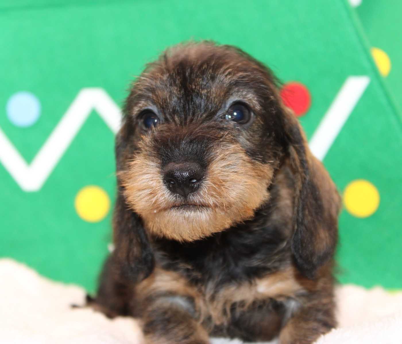 Alfie