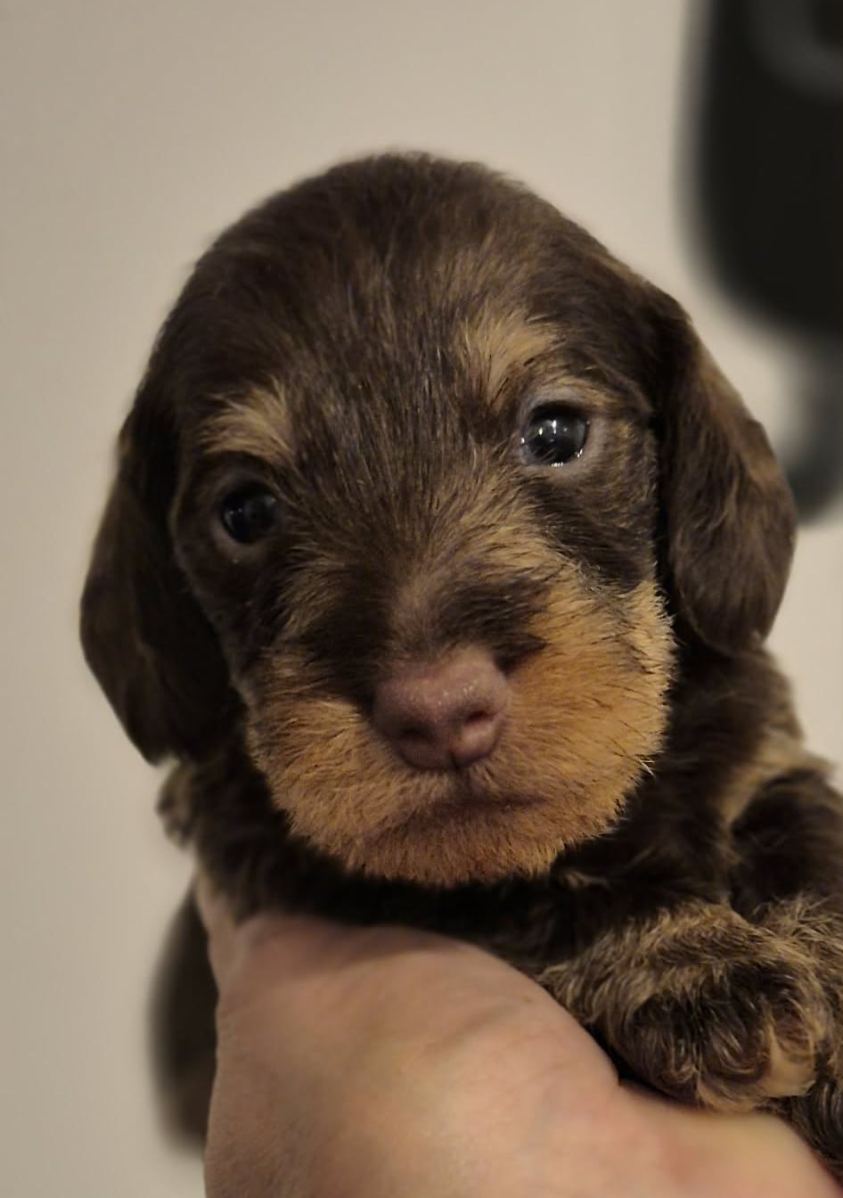 Benny
