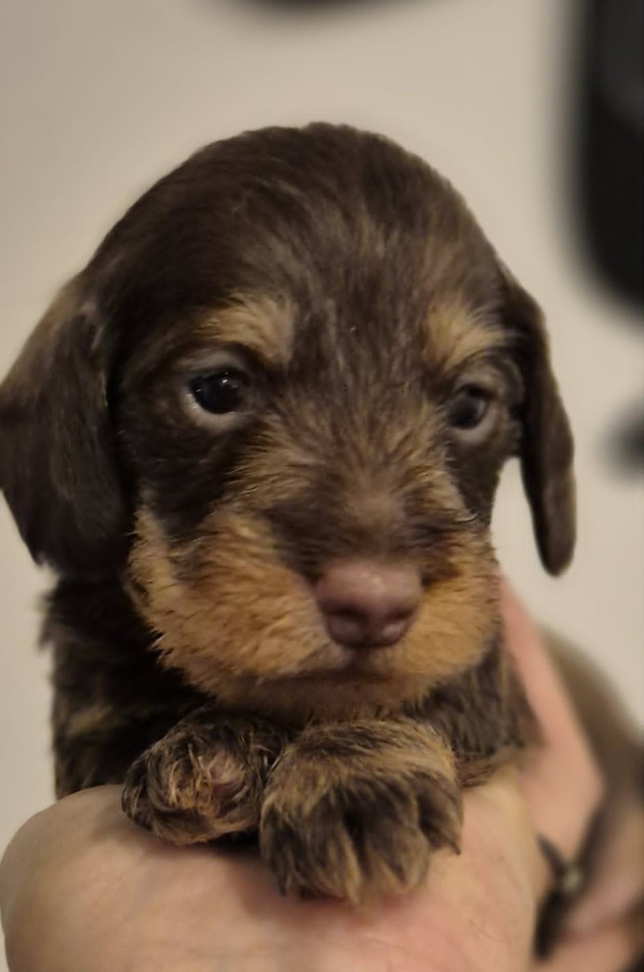 Benny