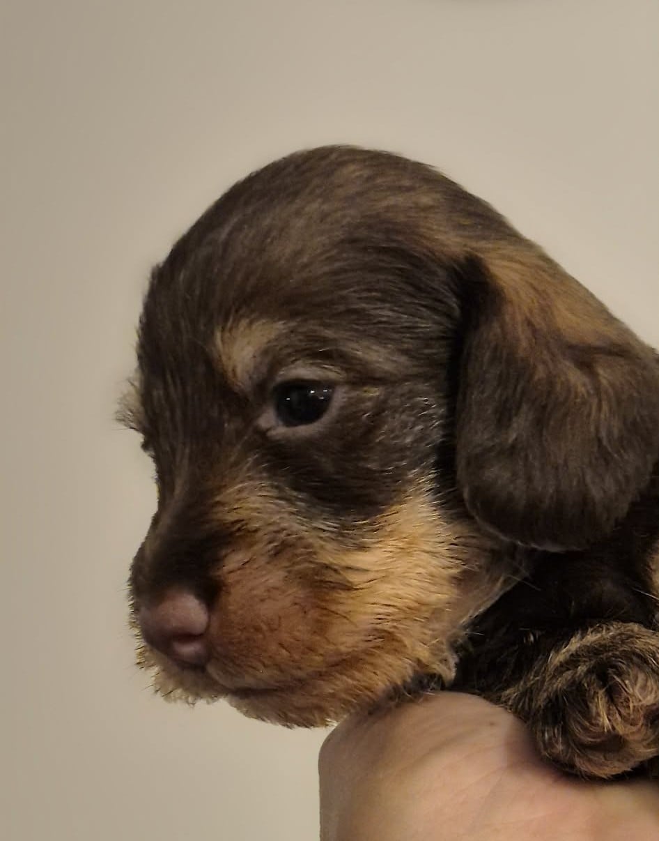 Benny