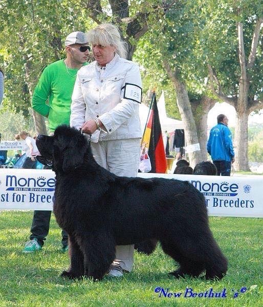 Publication : Des oursons du vent