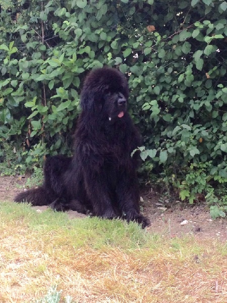 Publication : Des oursons du vent