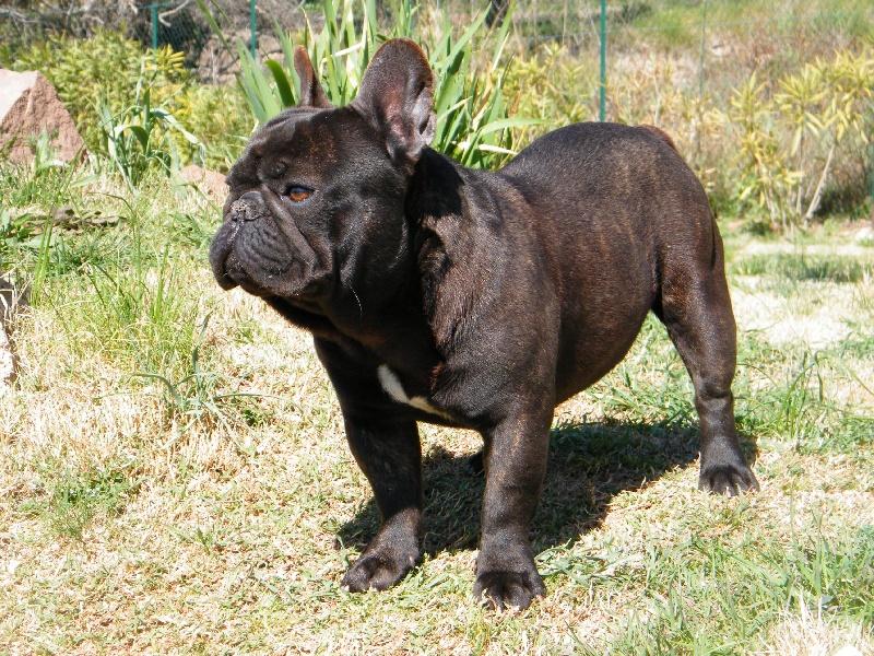 Publication : du clos stéfanel