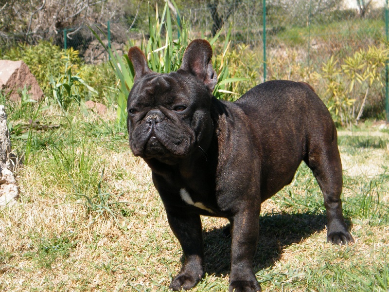 Publication : du clos stéfanel