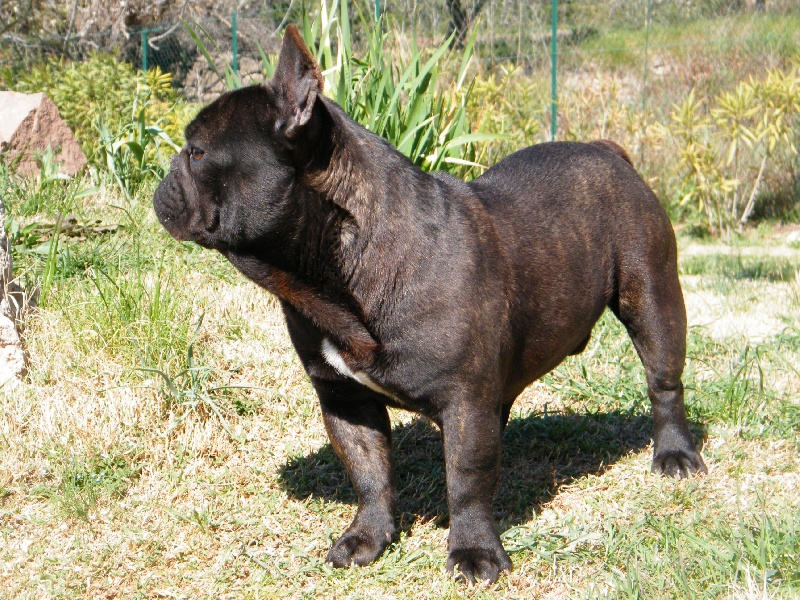 Publication : du clos stéfanel