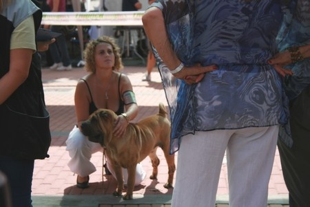 Italian sunshine del peodoro - 1ERE EXCELLENT