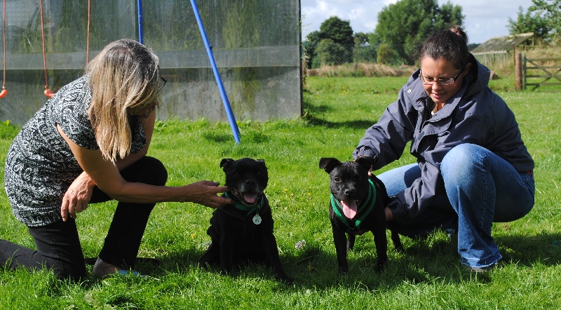 Pome's World Hey you