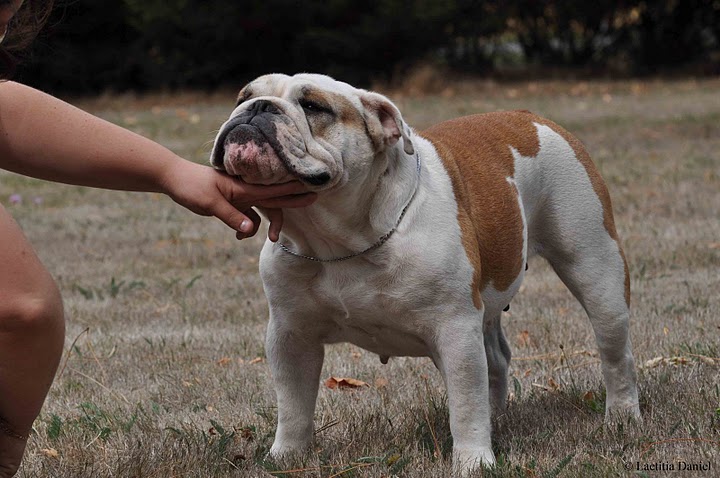 Publication : Pome's World Auteur : Letitia Daniel