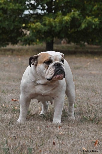 Publication : Pome's World Auteur : Letitia Daniel