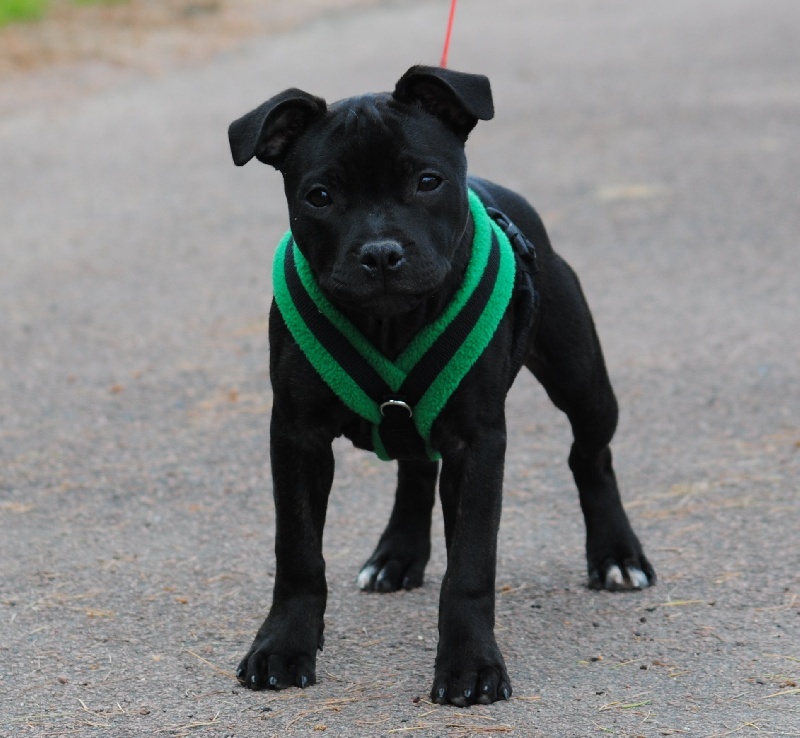 Pome's World Hey you