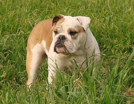 Publication : Pome's World Auteur : Letitia Daniel