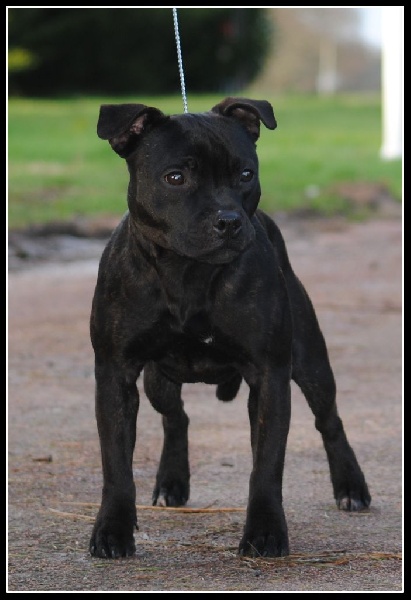 Pome's World Hey you