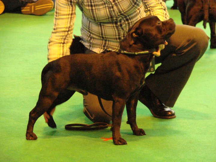 Publication : Pome's World