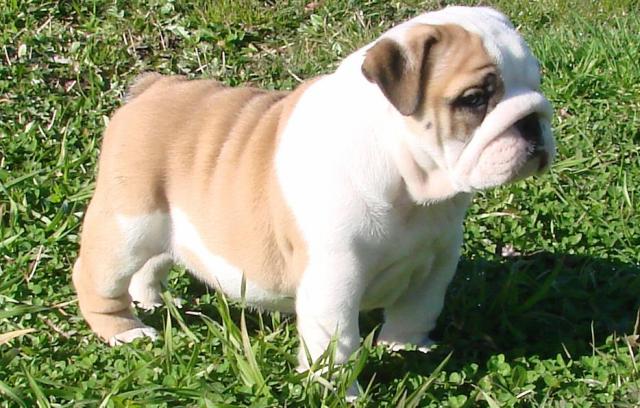 Publication : Pome's World Auteur : Letitia Daniel