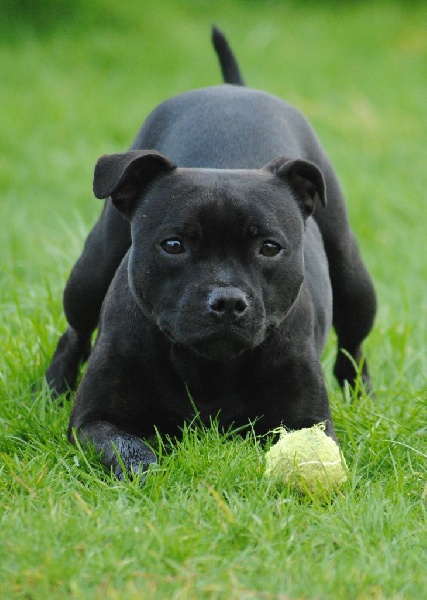 Pome's World Hey you