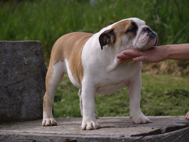 Publication : Pome's World Auteur : Letitia Daniel