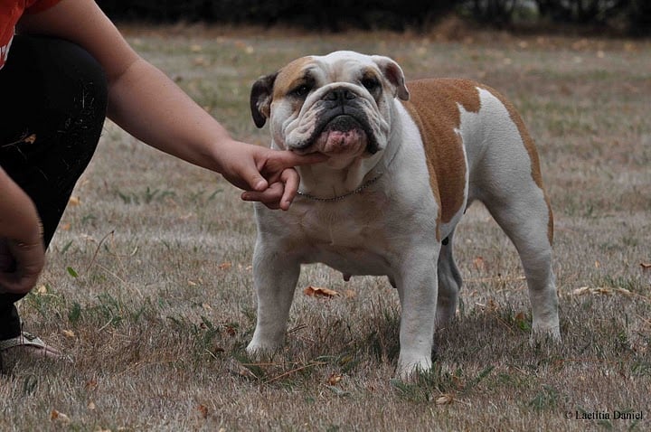 Publication : Pome's World Auteur : Letitia Daniel