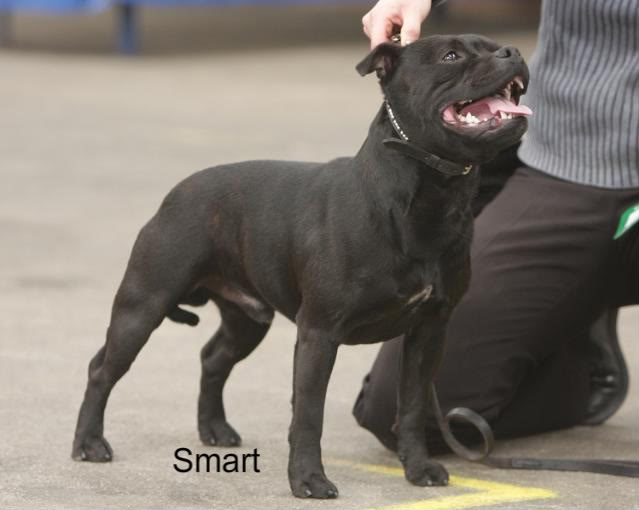 Publication : Pome's World