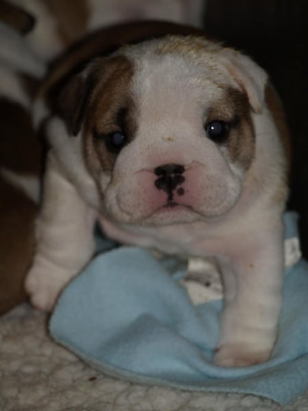 Publication : Pome's World Auteur : Letitia Daniel