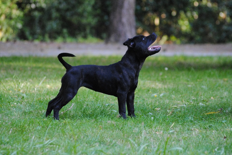 Pome's World Hey you