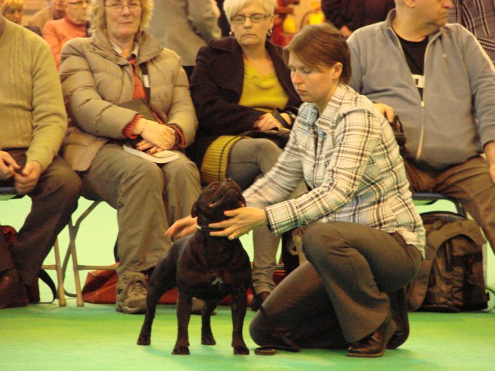 Publication : Pome's World