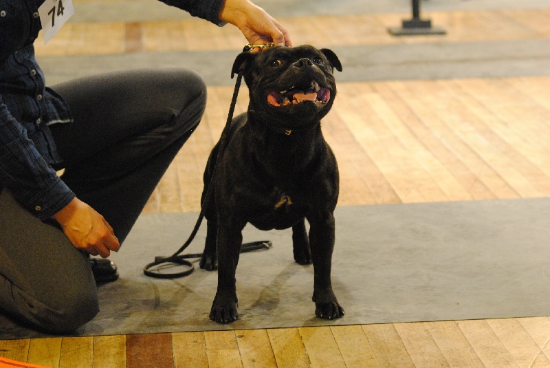 Publication : Pome's World