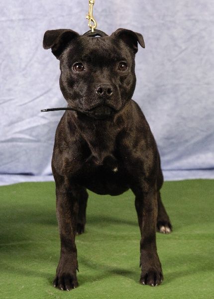 Pome's World Hey you