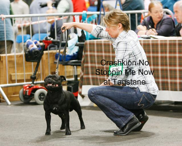 Publication : Pome's World