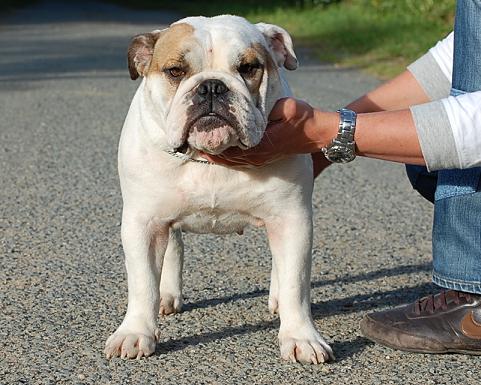 Publication : Pome's World Auteur : Letitia Daniel