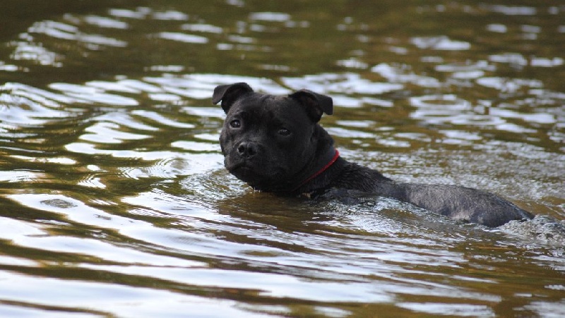 Pome's World Hey you