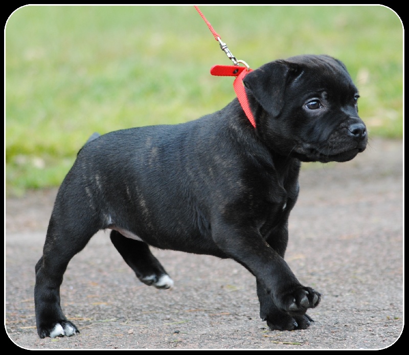 Pome's World Hey you