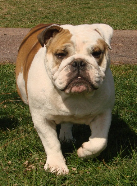 Publication : Pome's World Auteur : Letitia Daniel