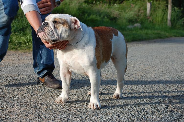 Publication : Pome's World Auteur : Letitia Daniel