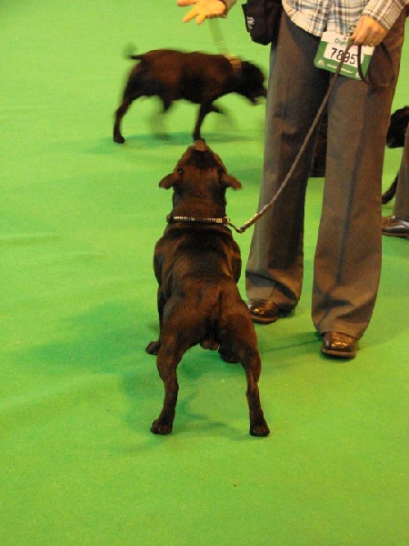 Publication : Pome's World