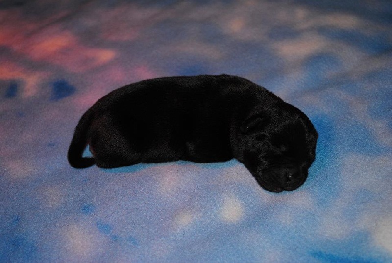 Pome's World Hey you