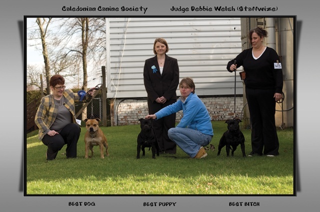 Publication : Pome's World