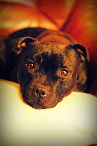 Pome's World Hey you