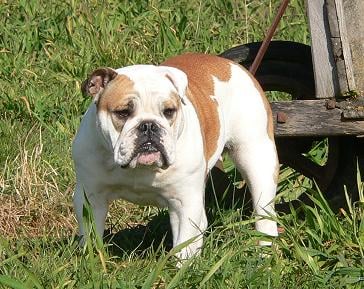 Publication : Pome's World Auteur : Letitia Daniel