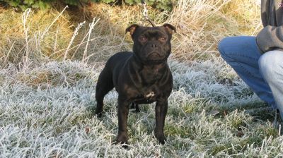 Publication : Pome's World