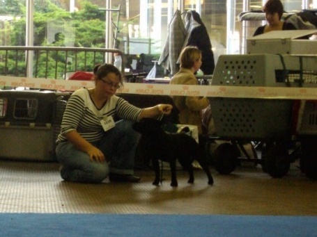 Pome's World Flagpole sitta - 2ème Excellent