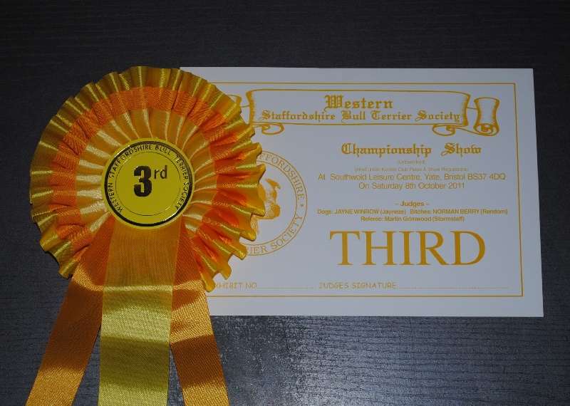 Pome's World Flagpole sitta - 3rd Place