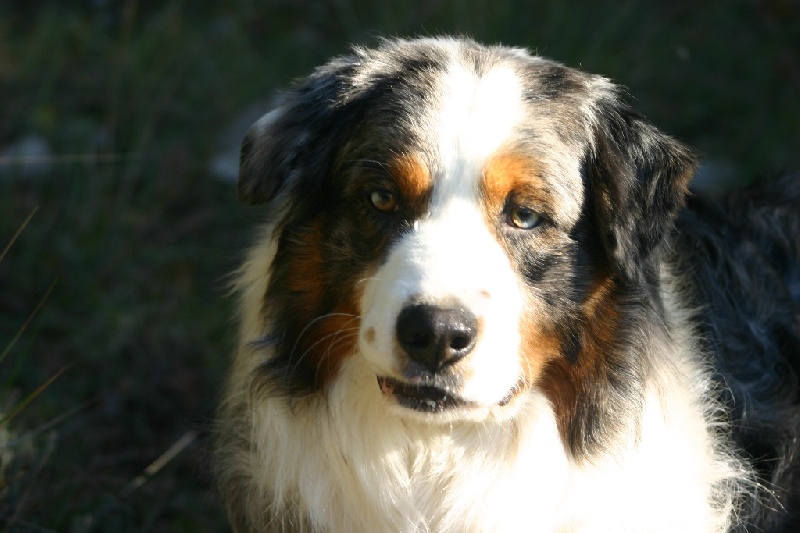 Publication : de Lérilud