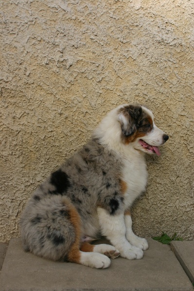 Publication : de Lérilud